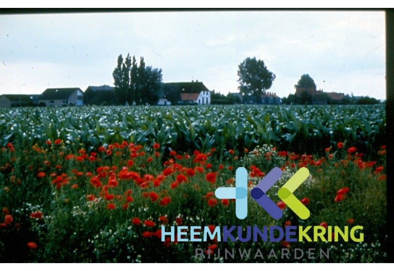 HERWEN Zicht op de Lange Jan- boerderij Goris F00000905